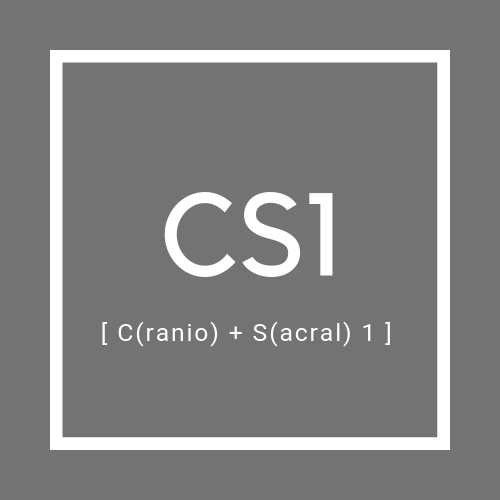 cs1 craniosacral therapy 1